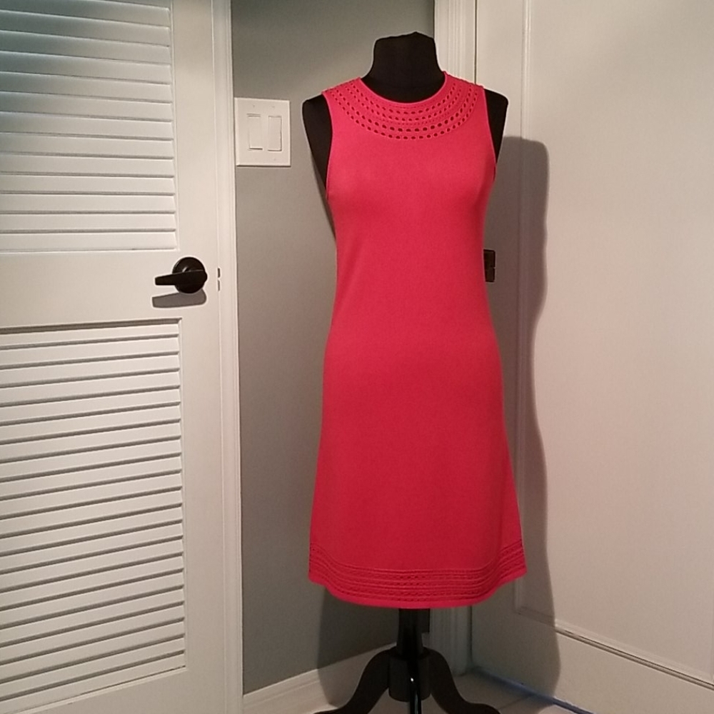 Ann Taylor Factory red knit dress.